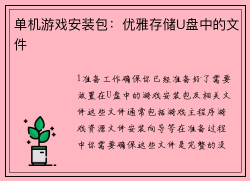 单机游戏安装包：优雅存储U盘中的文件